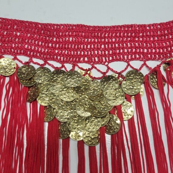 Red Hip Skirt Belly Dance Tassels Fringe Skirt Bellydance Coins Fringe Hip Scarf - Picture 3 of 13